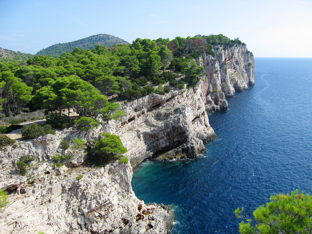Rocks and green trees in Telascica bay